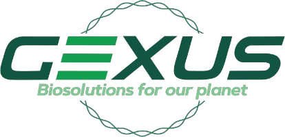 Gexus